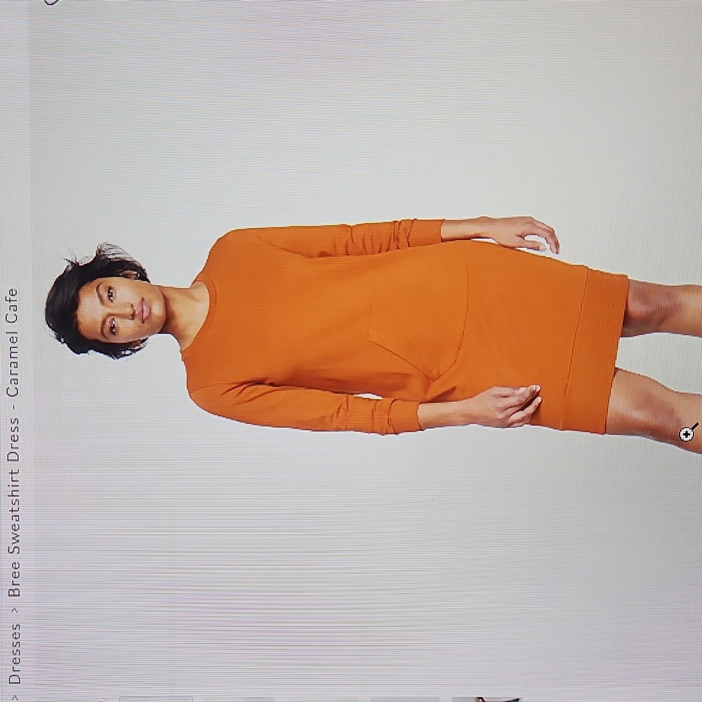 BNWT-UNIVERSAL STANDARD small bree sweatshirt dress in caramel cafe